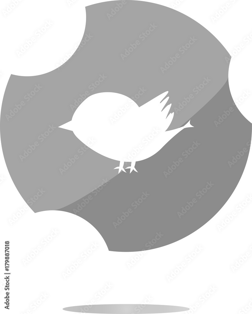 Poster glossy isolated website and internet web icon with bird symbol