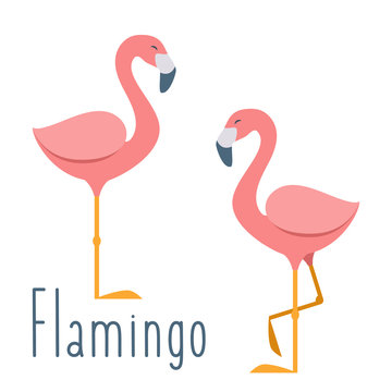 Pink flamingo. Vector illustration in flat cartoon style