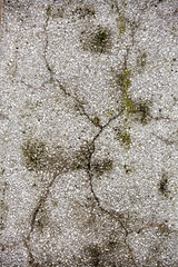 Jewish Headstone flowers stone symbol embem background cemetery old granit marble font letters