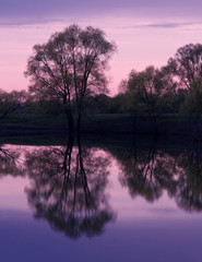 Sunset pond trees reflections