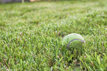 tennis ball