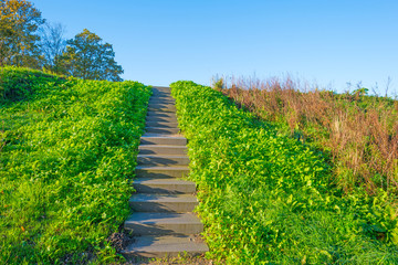 Fototapeta na wymiar Stairway on a hill along a field in sunlight at fall