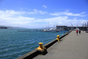 Central of Wellington New Zealand © asanojunki0110