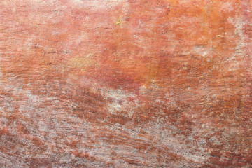  Eucalyptus tree bark texture.  Bright, natural background.