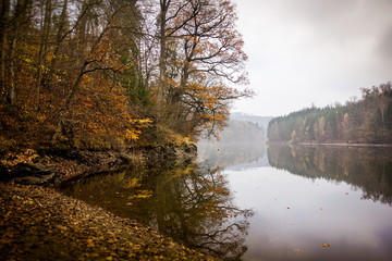 Obraz premium Autumn coast of Vltava river