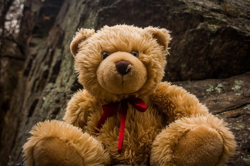 Teddy bear Dranik in autumn czech republic