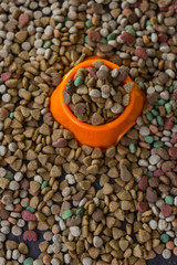 Orange plastic bowl filled with dry pet food surrounded by dry food for cat and dogs.