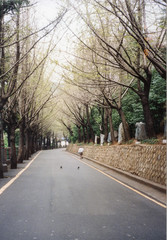 Haeundae-gu park, Busan, South Korea