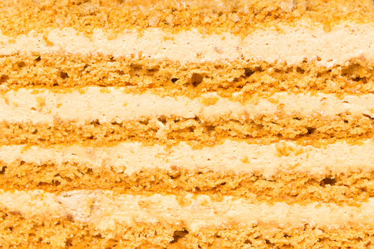 Rainbow Sponge Cake Background. Colorful Seamless Texture. Stock Vector -  Illustration of cake, bakery: 84227017 | Cake background, Cake vector,  Seamless textures