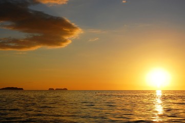 Stingray jumping at sunset