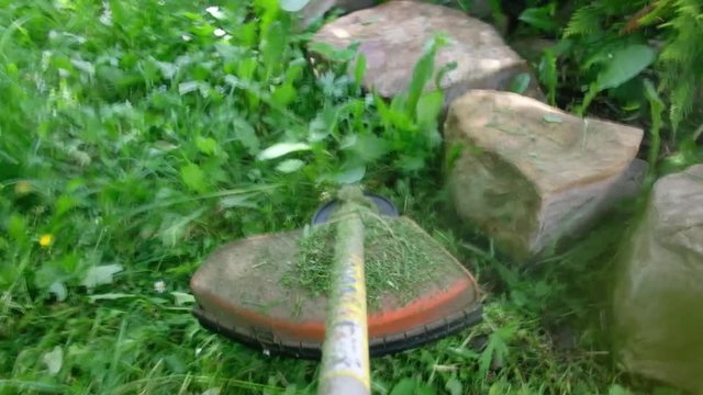 trimming grass mower