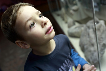 Curiosity boy in museum