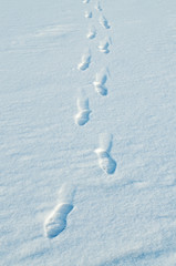 Human footprints in the snow.