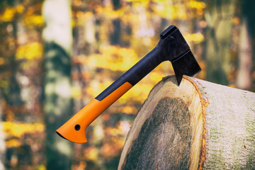 stuck ax in a log in forest, woodworking tools 