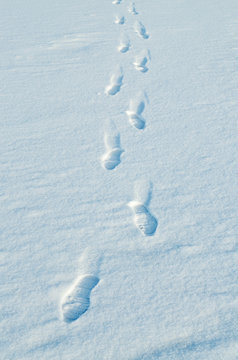 Human footprints in the snow.