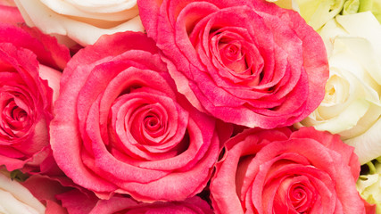 beautiful bouquet of bright roses