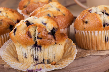 Closeup of Blueberry Muffins - obrazy, fototapety, plakaty