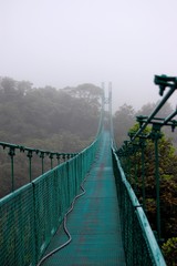 Obraz premium Rain forest bridge