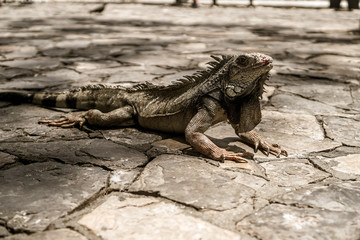 Guayaquil, Ecuador