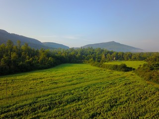 Fototapeta na wymiar country field in the morning