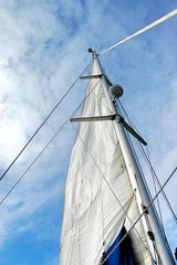 Obraz premium Sailing