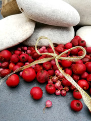 red berries and rolling stone