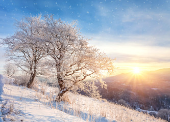 Beautiful winter landscape in the mountains.