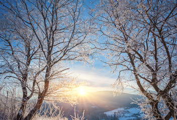 Beautiful winter landscape in the mountains.