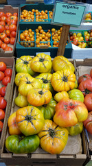 Colorful organic heirloom tomatoes for sale.