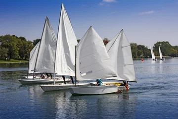 Crédence de cuisine en verre imprimé Naviguer Voile sportive dans beaucoup de petits bateaux blancs sur le lac