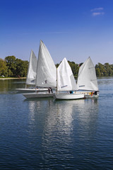 Obraz premium Sports sailing in Lots of Small white boats on the lake