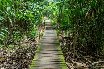 Obraz premium Kuching (Sarawak), Borneo