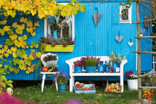 Herbstdekoration im Garten