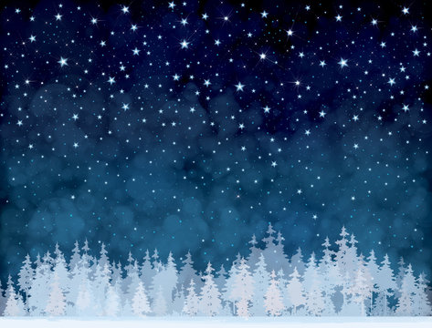 Vector winter night starry sky and  forest background.