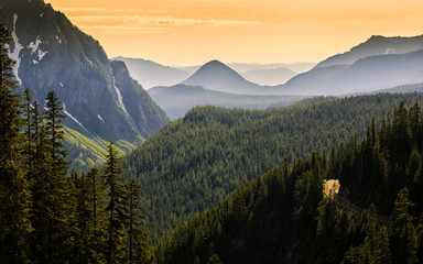 Mount Rainer NP