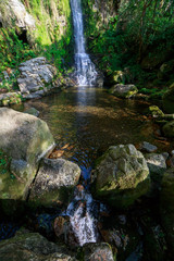 Fototapeta na wymiar Landscape of one of water cascades of Oneta waterfalls in picturesque forest of Asturias, Spain.