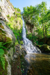 Obraz premium Landscape of one of water cascades of Oneta waterfalls in picturesque forest of Asturias, Spain.