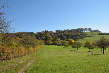 Herbstimpression aus Leonberg, Württemberg, Deutschland.