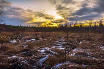 Bright autumn sunset.The woods at sunset. First snow on the grass