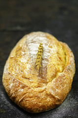 Freshly backed bread on dark rustic background. Close up view.