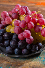 Large organic table grape Globe in assortment served on the tin plate
