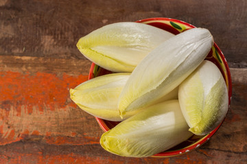Fresh organic chicory  endive salad ready to eat