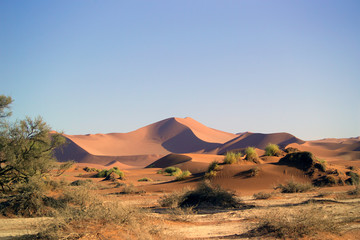 Obraz na płótnie Canvas Sossusvlei, Dünen, Höhe von 200 Meter, größten Sanddünen der Welt, 