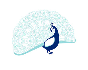 Peacock bird with patterned tail.