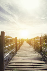 Fototapeta premium wooden bridge reeds nature view. Wooden path through and over a lot of green reed. 