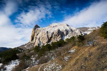 Winter forest from mountainous heights 15