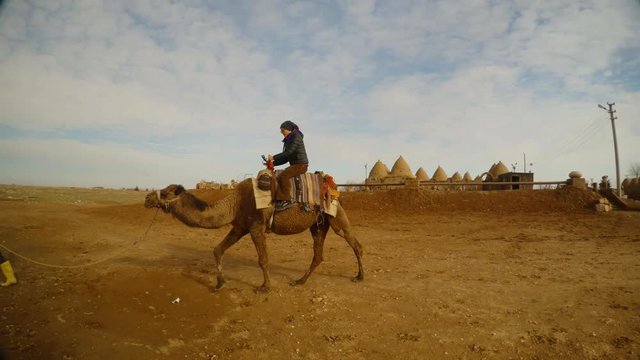 the boy is leading a camel on which sits a girl, southeast of Turkey