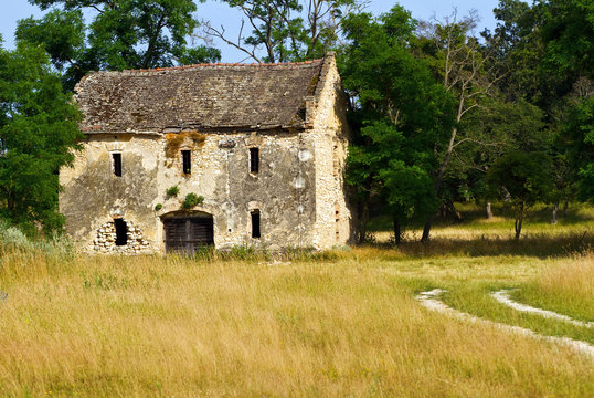 Abandoned country house