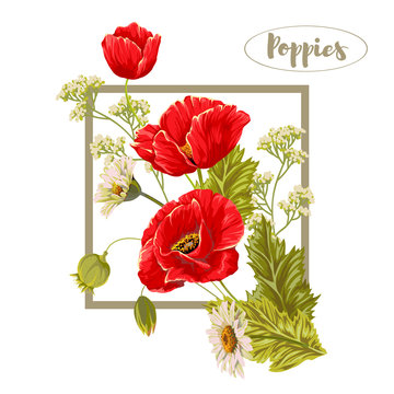 Composition with poppies and chamomiles. Vector illustration.