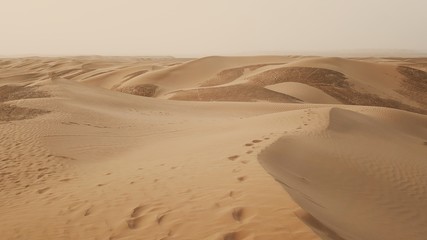 Iranian desert